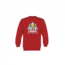 Fischtown Pinguins - Sweatshirt KIDS - red - LOGO - 12-14y