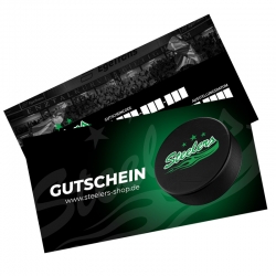 Bietigheim Steelers - 100 Euro Gutschein