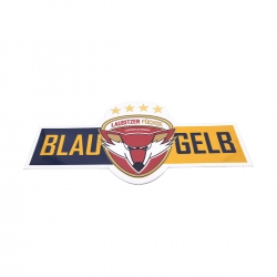 Lausitzer Füchse - Aufkleber - Logo blau/gelb - 100x50mm