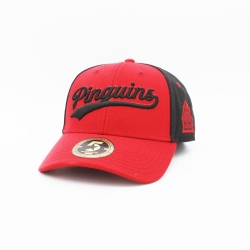 Fischtown Pinguins - ADULT Curved-Cap - Trucker Style - 60cm
